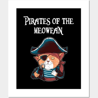 Cat Pirate Posters and Art